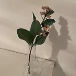 Bf Boutique Jerez Guest house