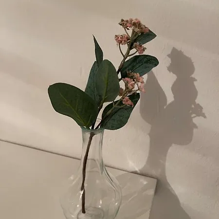 Bf Boutique Jerez Гостьовий будинок