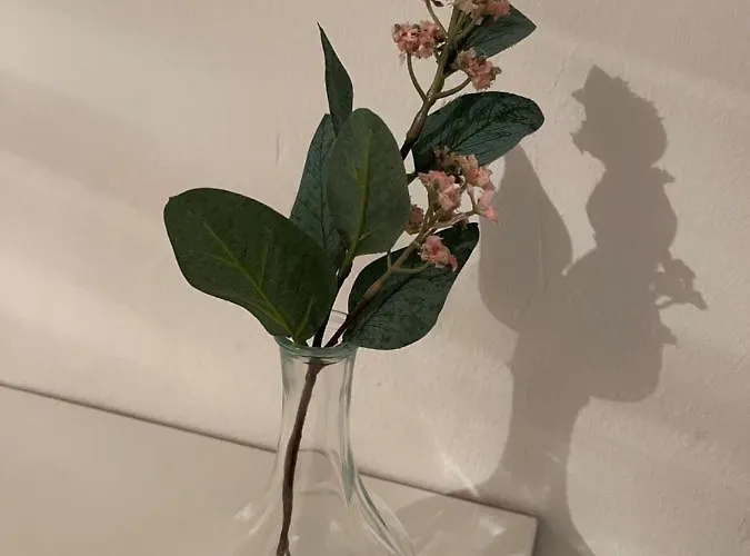 Bf Boutique Jerez בית הארחה